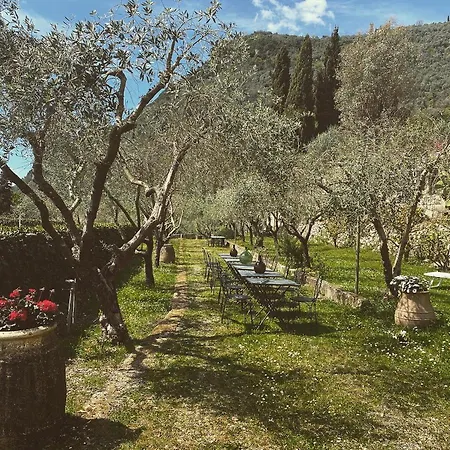 Sotto Il Cielo Di Toscana In Tenuta Only Adults No Pet Dom wakacyjny *