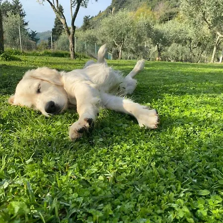 Sotto Il Cielo Di Toscana In Tenuta Only Adults No Pet