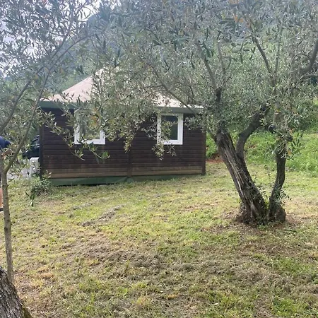 Sotto Il Cielo Di Toscana In Tenuta Only Adults No Pet Feriehus