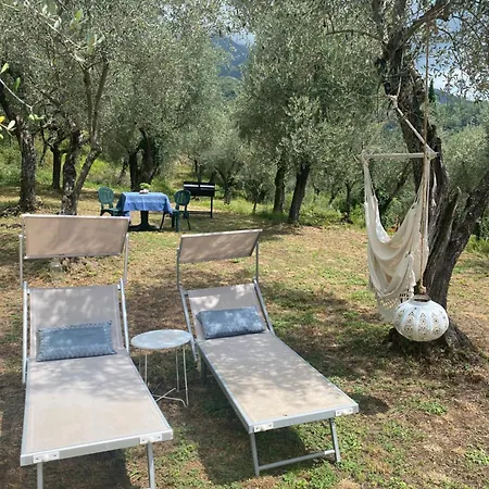 Sotto Il Cielo Di Toscana In Tenuta Only Adults No Pet Feriehus Camaiore