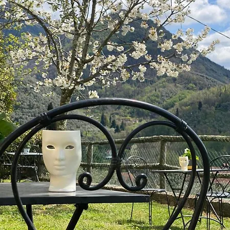 Sotto Il Cielo Di Toscana In Tenuta Only Adults No Pet Casa de Férias Camaiore
